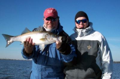 Neuse River striper caught during cold spell on Jan 7.  One of 15 fish that afternoon!