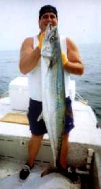 Edgewater River Guide<br>www.EdgewaterRiverGuide.com <br>Capt. Michael Savedow<br>386-689-3781<br>