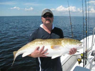  Capt Gary Dubiel<br>Spec Fever Guide Service<br>PO Box 1029<br>Oriental, NC 28571<br>252-249-1520<br>