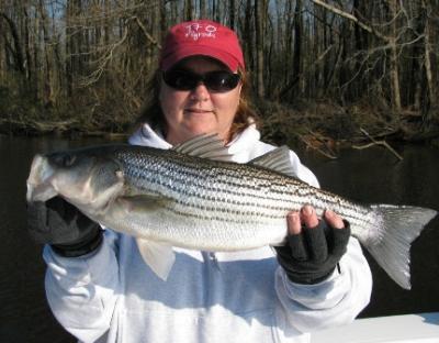 Capt Gary Dubiel<br>Spec Fever Guide Service<br>www.specfever.com<br>PO Box 1029<br>Oriental, NC 28571<br>252-249-1520