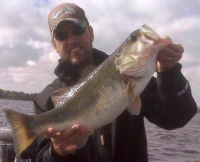 Tom Redington's <br>Lake Fork Bass Guide Service<br>Specializing in teaching the science and patterns of <br>Trophy Bass Fishing <br>214-683-9572 <br>tom@LakeForkGuideTrips.com<br>