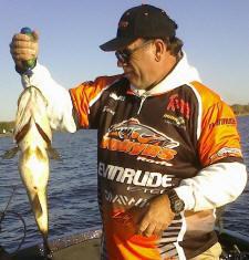If I can be of assistance, please contact me at 214-683-9572 or e-mail me through http://www.LakeForkGuideTrips.com, where your satisfaction is guaranteed.<br> <br>Good Fishing,<br>Tom