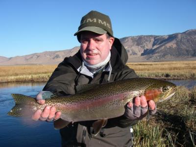 Tom Loe, Sierra Drifters Guide Service<br><br>760-935-4250<br><br>Cell 760-937-2015<br><br>Email driftfish@qnet.com<br><br>www.sierradrifters.com<br><br>