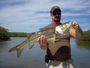 This 32 1/2 inch snook was caught on shrimp in Estero Bay, Bonita Beach, SW FL, on a live shrimp, by angler Mark Murphey on 11/6/09.