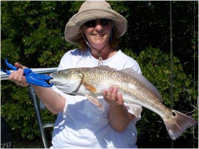 Captain Tom Van Horn<br> <br>Mosquito Coast fishing Charters<br> <br>(407) 416-1187 on the water<br> <br>http://www.irl-fishing.com<br> <br>