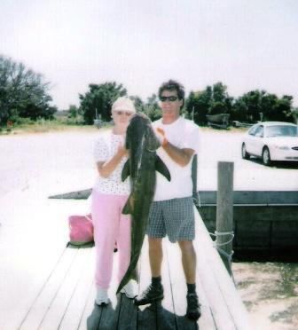 Cobia