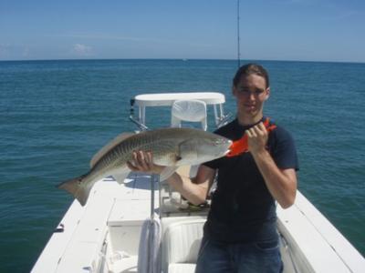 Capt. Gus Brugger<br>www.sebastianfishinhgguides.com<br>772-589-0008<br>