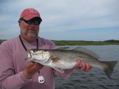 Specks...love 'um!