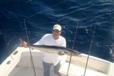 Captain Taco (954) 764-4344 or toll free @ (877) SEA-4344<br>www.tacohookedup.com 