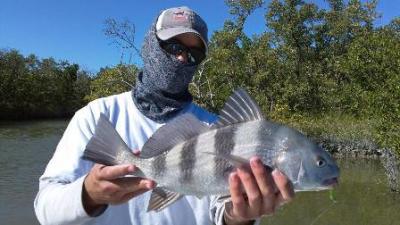 Capt. Steven Tejera <br>Knot Tight Charters <br>http://www.knottightcharters.com<br> <br>