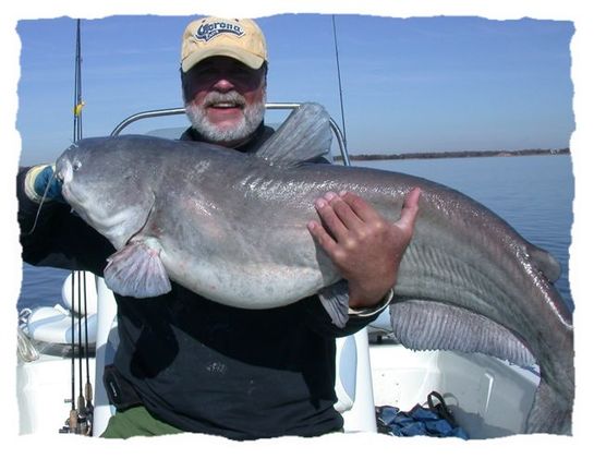 Winter Fishing for Big Blues - Texas Guide Fishing - Mark Parker
