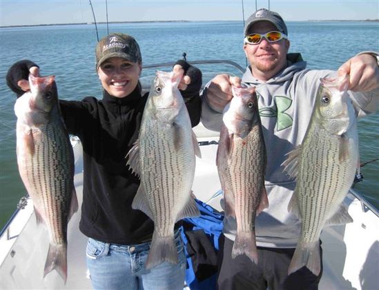 Winter Fun - Hybrids with Texas Guide Fishing - Mark Parker