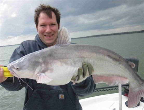 Trophy Blue Cats with Texas Guide Fishing - Mark Parker