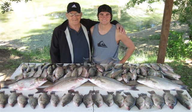 Crappie, Hybrid Stripers, White Bass - With Texas Guide Fishing - Mark Parker