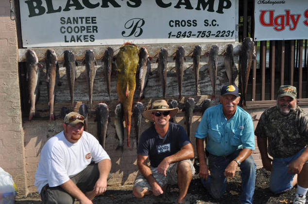 Bill Salmon's Professional Fishing Guide Service 
billsalmon73@yahoo.com