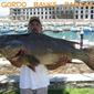 08palmillagrouper
