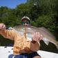 8-10--me-redfish