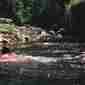 Locph_1044693760_locid186