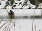 Locph_1090179555_locid3410