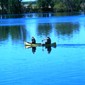 Locph_116830171_locid10351