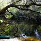 Locph_1196127908_locid10458