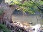 Locph_1268510861_locid7841