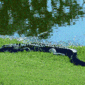 Locph_1289840439_locid103181