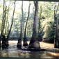 Locph_1308213590_locid6262