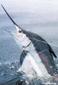 Locph_1383111414_locid107689