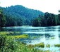 Locph_1407201448_locid108755