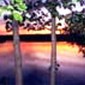 Locph_1437256114_locid11230