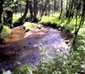 Locph_1545599438_locid108243
