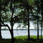 Locph_1561750035_locid9134