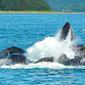Locph_1665063723_locid107375