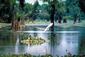 Locph_1714985839_locid102651