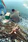 Locph_1826644141_locid3433