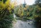 Locph_183895144_locid108076