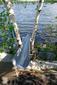 Locph_1903796483_locid4986