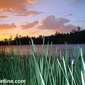 Locph_1950328245_locid162