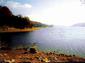Locph_203533074_locid5085