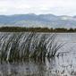 Locph_2036504773_locid3348
