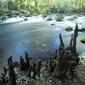 Locph_2047771074_locid10454