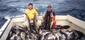 Locph_2134037233_locid108505