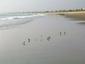 Locph_2145646888_locid102849