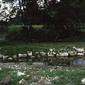 Locph_215866468_locid6075