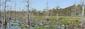 Locph_217750720_locid7545