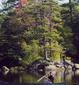 Locph_220122390_locid8608