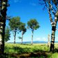 Locph_301615004_locid142