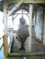 Locph_393105071_locid108434