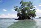 Locph_517624287_locid3746